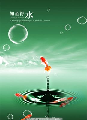 企業(yè)文化如魚得水 廣告設(shè)計(jì)讓您的團(tuán)隊(duì)游刃有余